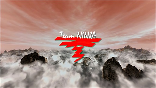 Team Ninja